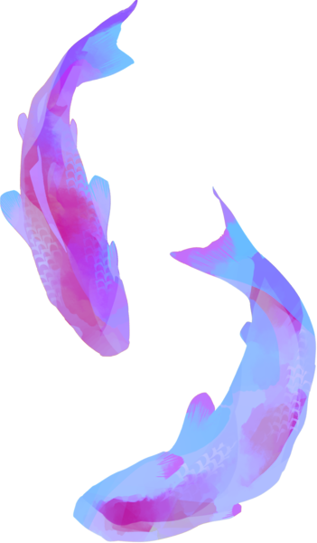 aesthetic fish rotated 180 degrees